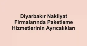Diyarbakır Nakliyat Firmalarında Paketleme Hizmetlerinin Ayrıcalıkları