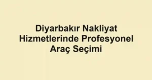 Diyarbakır Nakliyat Hizmetlerinde Profesyonel Araç Seçimi