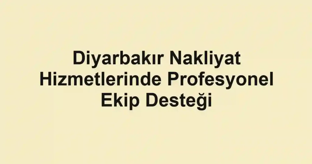 Diyarbakır Nakliyat Hizmetlerinde Profesyonel Ekip Desteği