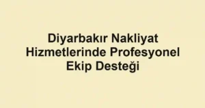 Diyarbakır Nakliyat Hizmetlerinde Profesyonel Ekip Desteği