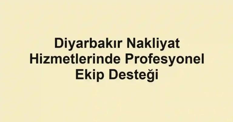 Diyarbakır Nakliyat Hizmetlerinde Profesyonel Ekip Desteği