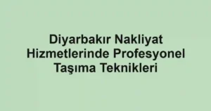 Diyarbakır Nakliyat Hizmetlerinde Profesyonel Taşıma Teknikleri