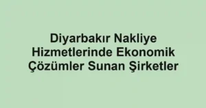 Diyarbakır Nakliye Hizmetlerinde Ekonomik Çözümler Sunan Şirketler