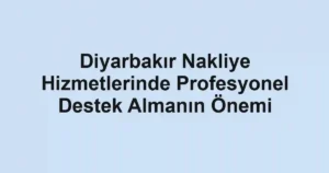 Diyarbakır Nakliye Hizmetlerinde Profesyonel Destek Almanın Önemi