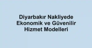 Diyarbakır Nakliyede Ekonomik ve Güvenilir Hizmet Modelleri