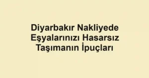 Diyarbakır Nakliyede Eşyalarınızı Hasarsız Taşımanın İpuçları