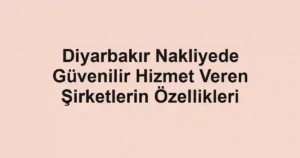 Diyarbakır Nakliyede Güvenilir Hizmet Veren Şirketlerin Özellikleri