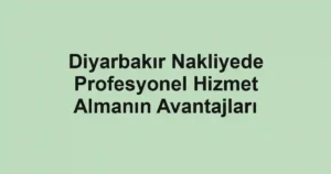 Diyarbakır Nakliyede Profesyonel Hizmet Almanın Avantajları