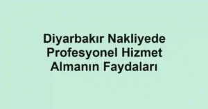 Diyarbakır Nakliyede Profesyonel Hizmet Almanın Faydaları