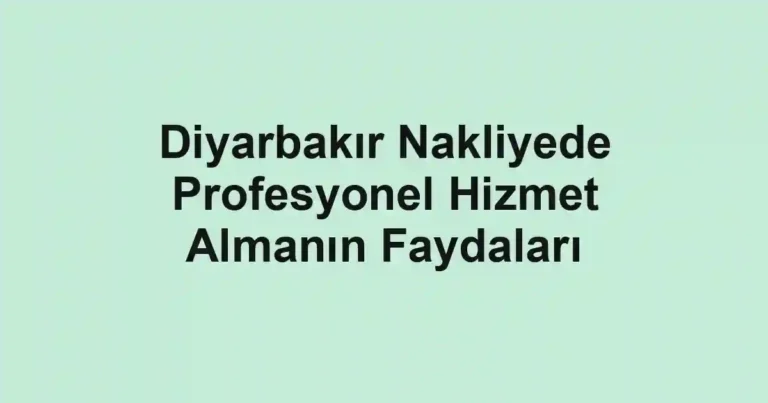 Diyarbakır Nakliyede Profesyonel Hizmet Almanın Faydaları