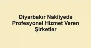 Diyarbakır Nakliyede Profesyonel Hizmet Veren Şirketler