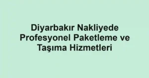 Diyarbakır Nakliyede Profesyonel Paketleme ve Taşıma Hizmetleri