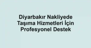 Diyarbakır Nakliyede Taşıma Hizmetleri İçin Profesyonel Destek