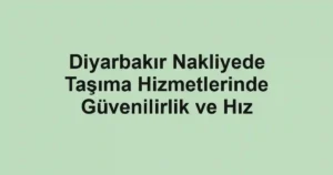 Diyarbakır Nakliyede Taşıma Hizmetlerinde Güvenilirlik ve Hız