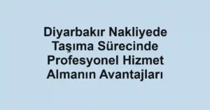Diyarbakır Nakliyede Taşıma Sürecinde Profesyonel Hizmet Almanın Avantajları