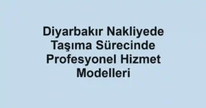 Diyarbakır Nakliyede Taşıma Sürecinde Profesyonel Hizmet Modelleri