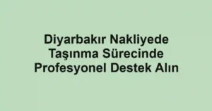 Diyarbakır Nakliyede Taşınma Sürecinde Profesyonel Destek Alın
