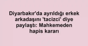 Diyarbakır'da ayrıldığı erkek arkadaşını 'tacizci' diye paylaştı: Mahkemeden hapis kararı
