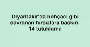 Diyarbakır'da bohçacı gibi davranan hırsızlara baskın: 14 tutuklama
