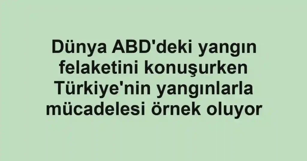 Dünya ABD'deki yangın felaketini konuşurken Türkiye'nin yangınlarla mücadelesi örnek oluyor