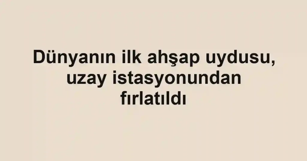 Dünyanın ilk ahşap uydusu, uzay istasyonundan fırlatıldı