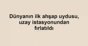 Dünyanın ilk ahşap uydusu, uzay istasyonundan fırlatıldı