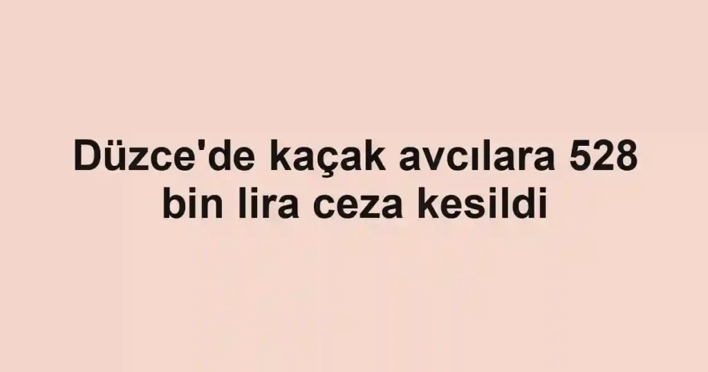 Düzce'de kaçak avcılara 528 bin lira ceza kesildi