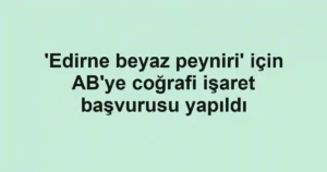 'Edirne beyaz peyniri' için AB'ye coğrafi işaret başvurusu yapıldı