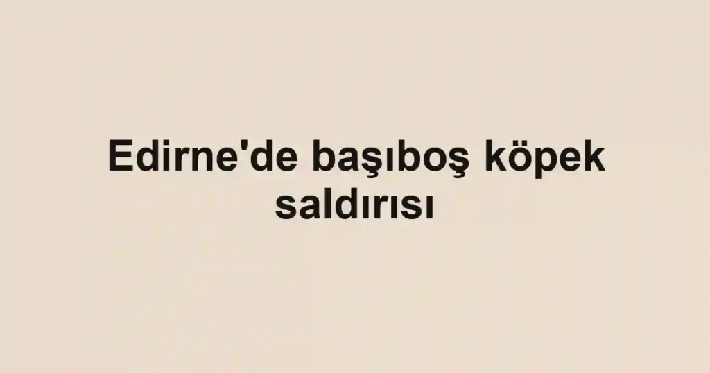 Edirne'de başıboş köpek saldırısı