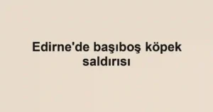Edirne'de başıboş köpek saldırısı