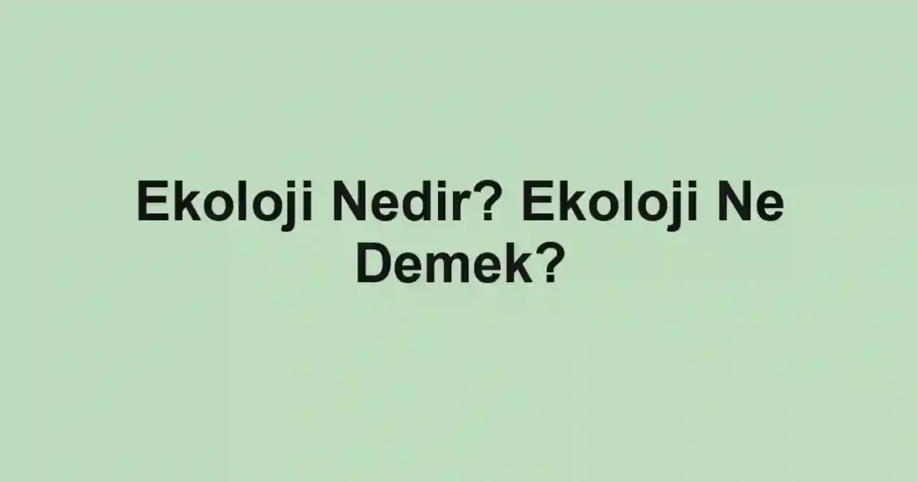 Ekoloji Nedir? Ekoloji Ne Demek?