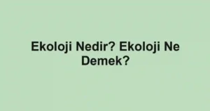 Ekoloji Nedir? Ekoloji Ne Demek?