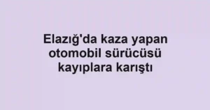 Elazığ'da kaza yapan otomobil sürücüsü kayıplara karıştı