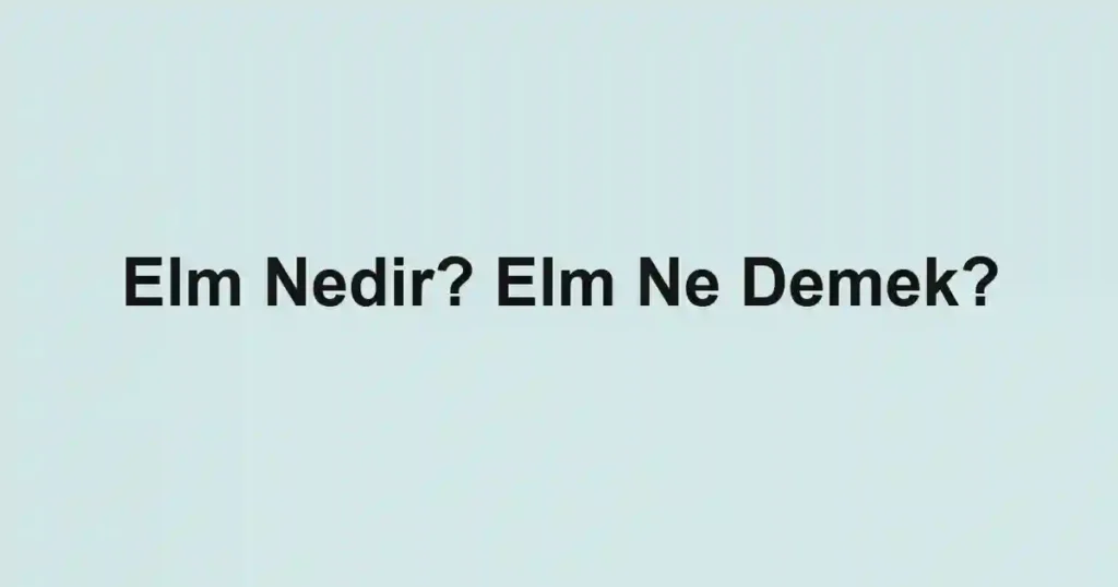 Elm Nedir? Elm Ne Demek?