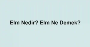 Elm Nedir? Elm Ne Demek?