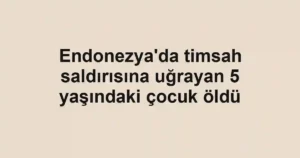 Endonezya'da timsah saldırısına uğrayan 5 yaşındaki çocuk öldü