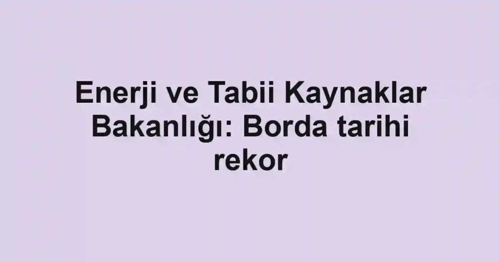 Enerji ve Tabii Kaynaklar Bakanlığı: Borda tarihi rekor