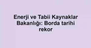 Enerji ve Tabii Kaynaklar Bakanlığı: Borda tarihi rekor