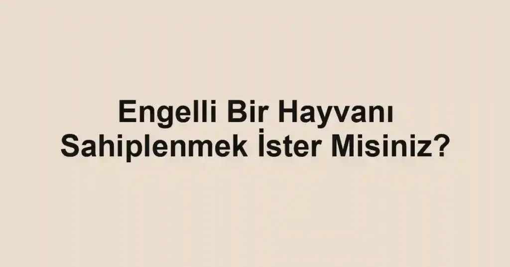 Engelli Bir Hayvanı Sahiplenmek İster Misiniz?