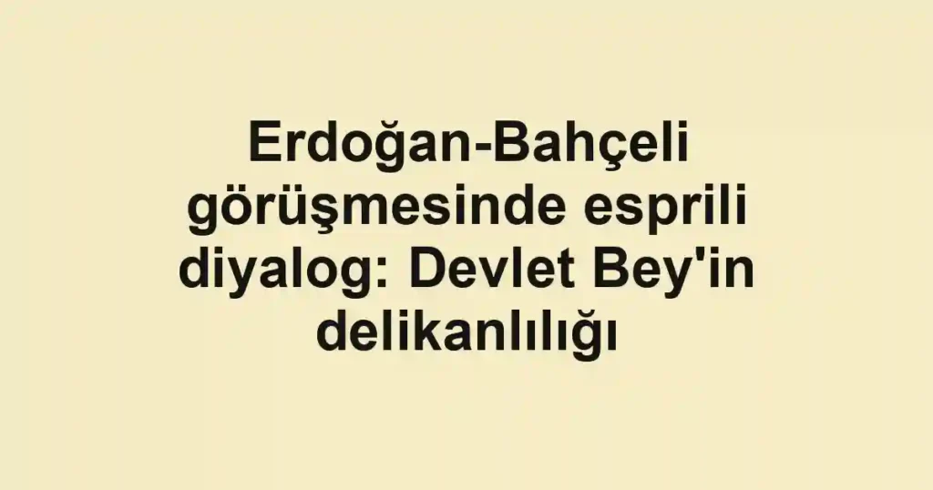 Erdoğan-Bahçeli görüşmesinde esprili diyalog: Devlet Bey'in delikanlılığı