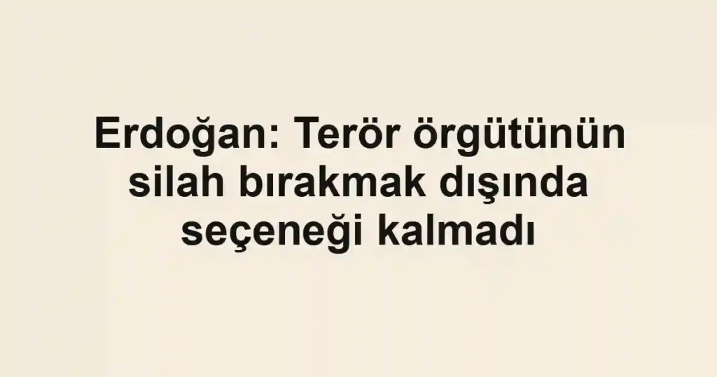 Erdoğan: Terör örgütünün silah bırakmak dışında seçeneği kalmadı