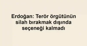 Erdoğan: Terör örgütünün silah bırakmak dışında seçeneği kalmadı