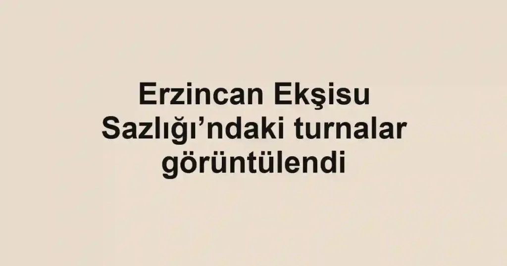 Erzincan Ekşisu Sazlığı’ndaki turnalar görüntülendi