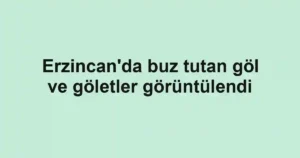 Erzincan'da buz tutan göl ve göletler görüntülendi