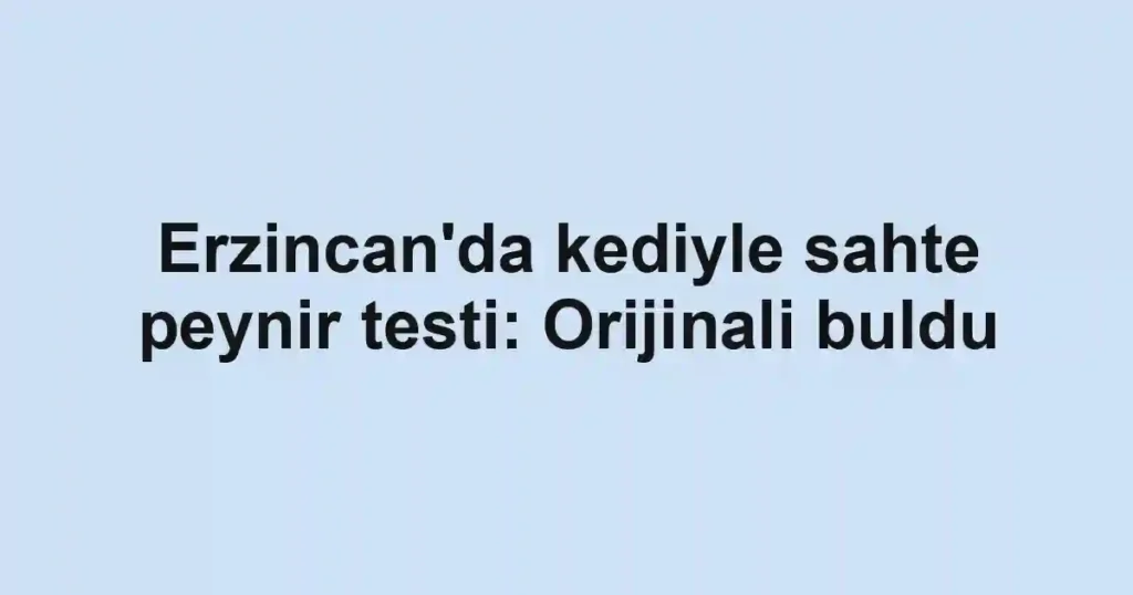 Erzincan'da kediyle sahte peynir testi: Orijinali buldu