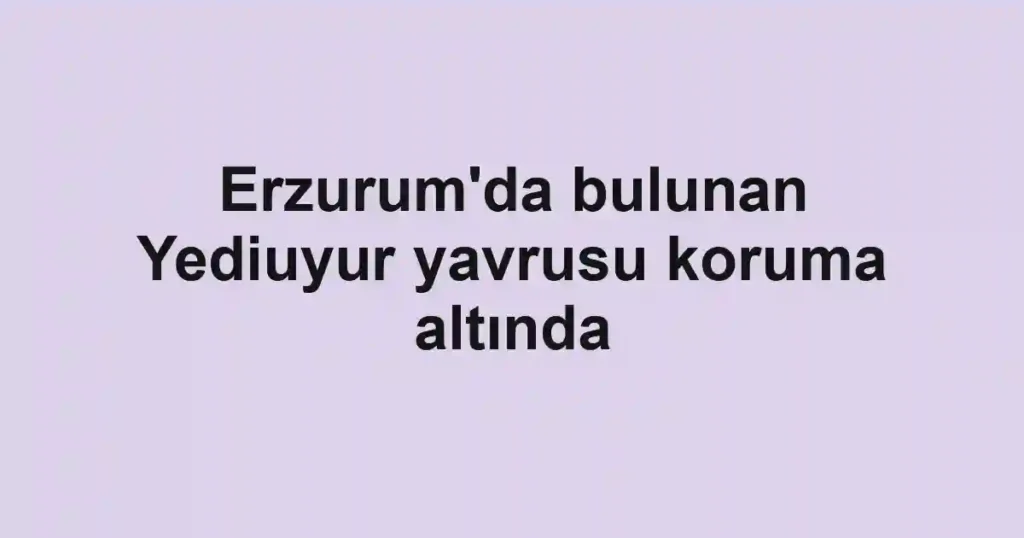 Erzurum'da bulunan Yediuyur yavrusu koruma altında