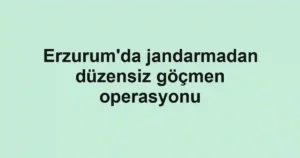 Erzurum'da jandarmadan düzensiz göçmen operasyonu