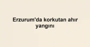 Erzurum'da korkutan ahır yangını