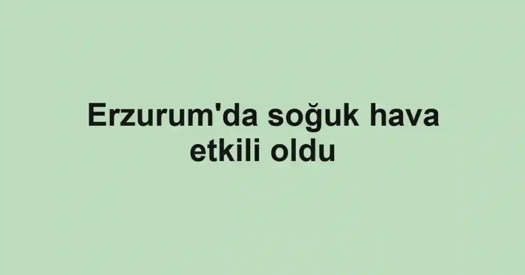 Erzurum'da soğuk hava etkili oldu