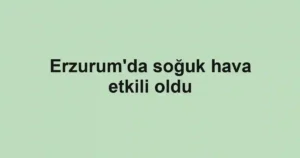 Erzurum'da soğuk hava etkili oldu